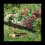 Garden Lawn Edging - 60 Pack Landscape Border Flex 9