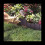 Garden Lawn Edging - 60 Pack Landscape Border Flex 7