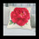 6X Vintage Floral/Flower Flax Decorative Throw Pil 6