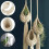 2X Boho Macrame Air Plant Hanger Tillandsia Hangin 7