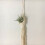 2X Boho Macrame Air Plant Hanger Tillandsia Hangin 11