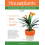 Houseplants Paperback Book 1