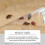 (As show, 5pcs) Bedbug Killing Spray Kils bed bugs eggs Prevent Fleas And Bed Bug Bitesp 4