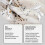 (As show, 5pcs) Bedbug Killing Spray Kils bed bugs eggs Prevent Fleas And Bed Bug Bitesp 5