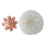 Small Flower Bakeware Cookie Mold Flower Shape Biscuit Mold Cartoon Press Baking Tool Cake Decorating Kit 1