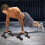 Push-Up Stand 1 Pair Non-Slip Strong Push-Up Support For Calisthenics Parallel Bars Strength Training 4