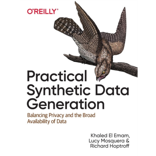 Practical Synthetic Data Generation by Richard Hoptroff Paperback Book