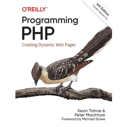 Programming PHP by Peter MacIntyre Paperback Book