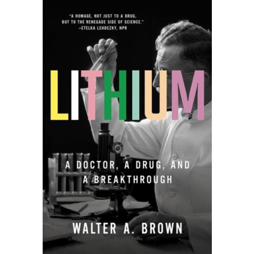 Lithium by Walter A. Brown University Brown Paperback Book