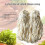 Sheep Casing for Sausage Maker - Clean Easy Storage Ready for Use 6