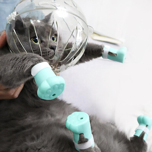 Cat Bubble Muzzle Adjustable Breathable Transparent Muzzle For Bathing And Grooming Claw Trimming Anti Bite Helmet 2