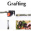 Pruning shears, grafting tool, plant twig, vine, fruit, pruning scissors, scissors with packaging 5
