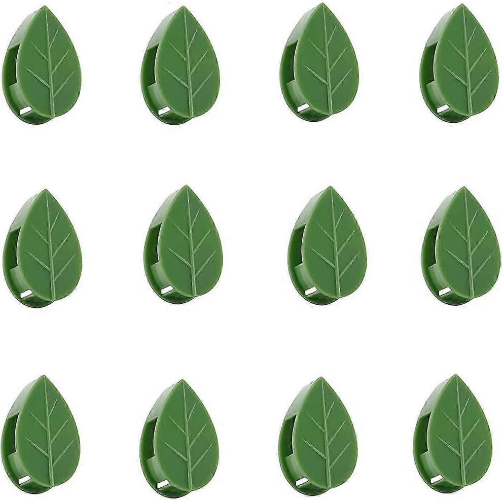 Pack of 50 clips for climbing plants, invisible clips for climbing plants, hooks for climbing plants, for gardening