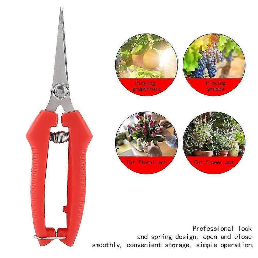 Fruit picking scissors, garden shears, flower shears, hand pruners, 7" equipment