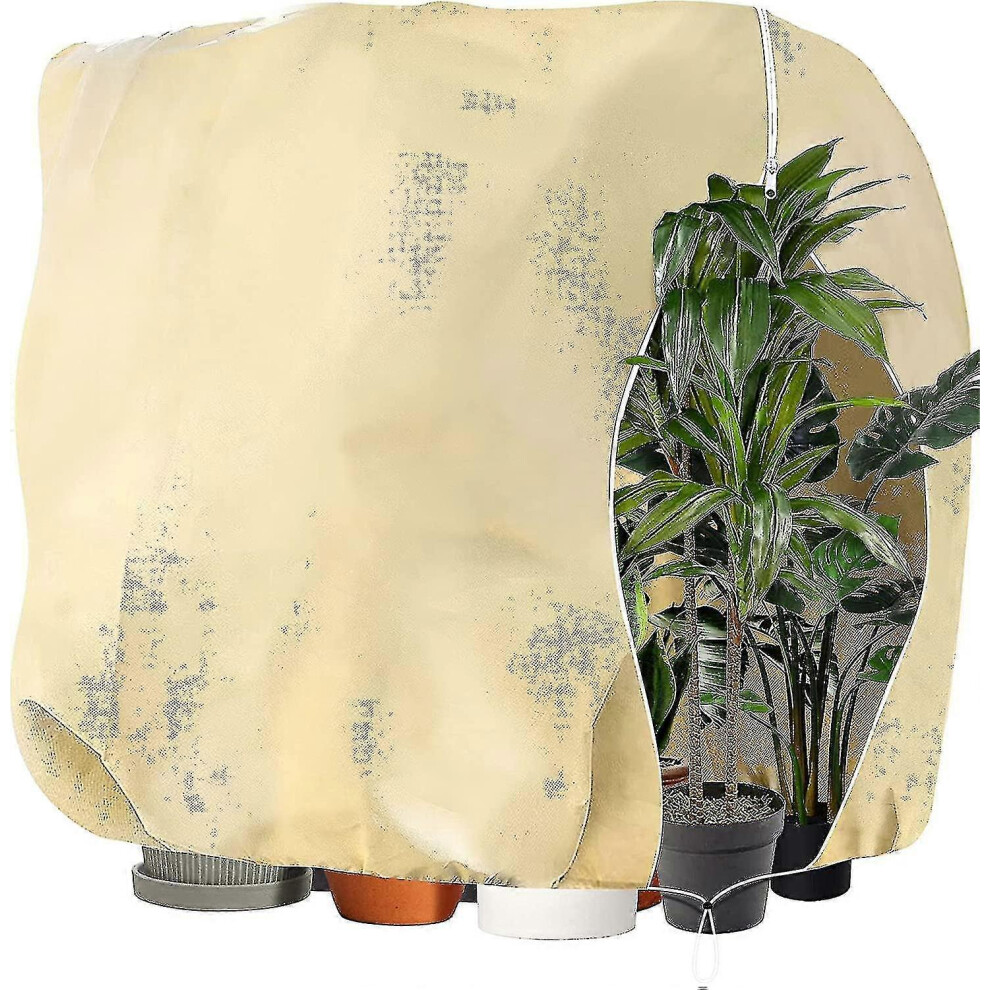 Thick, adjustable winter plant cover with drawstring and zipper, frost protection for palm and olive trees, beige, 240 x 200 cm
