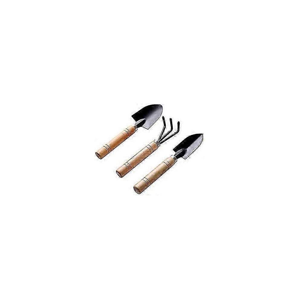 Set of 3 black gardening tools: shovel, rake, spade, succulent plant in a flower pot, hand cultivator with wooden handles