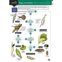 Bugs on Bushes by A. Bebbington Other Book