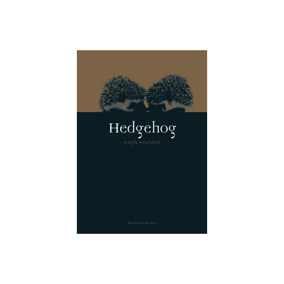 Hedgehog