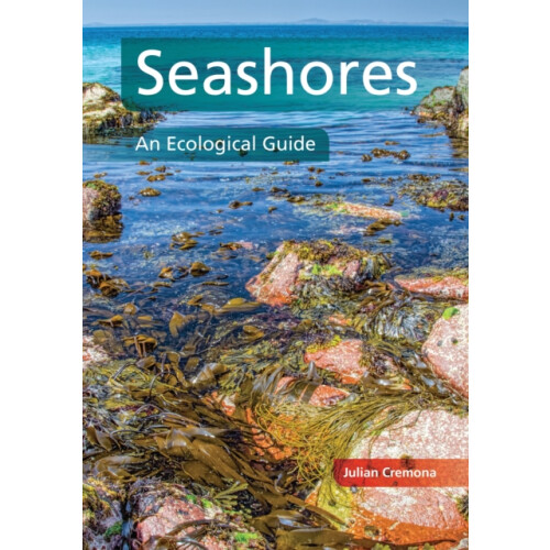 Seashores by Julian Cremona Paperback Book