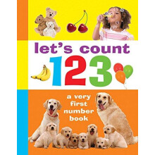 Lets Count 123 by Armadillo Other Book