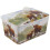 Highland Cow Butter Dish Fine China Multi Color Rustic Design for Table Serving 6