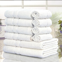 (White) 10 Piece Egyptian Cotton Towel Set - 2 Bath Towels (70cm x 120cm), 4 Hand Towels (50cm x 80cm), and 4 Face Towels (30cm x 30cm) - 500 GSM