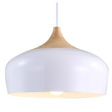 Enkele Hanglamp Bari Wit