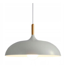 Anzo Grijze Plafondlamp