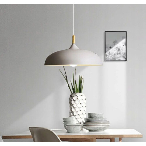 Anzo Grijze Plafondlamp 1