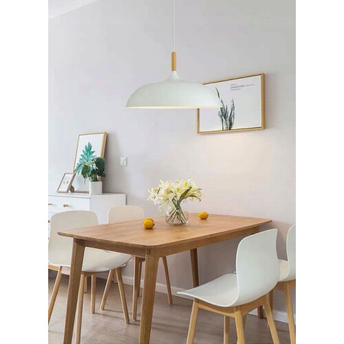 Anzo Witte Plafondlamp 1