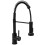 Kitchen Faucet Rea Colin Black 1