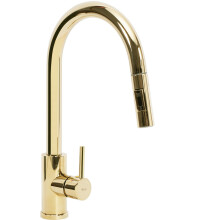 Kitchen Faucet Fresh Gold