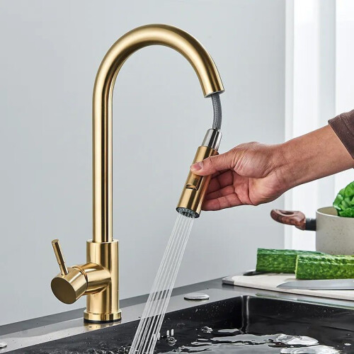 Kitchen Faucet Fresh Gold 2