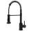 Kitchen Faucet Rea Colin Black 3