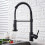 Kitchen Faucet Rea Colin Black 11