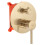 Σετ Ντους Rea Lungo Brushed Gold Κρυφό + Κουτι 3