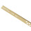 Verloopprofiel 100cm Brush Gold Links 5