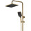 Σετ Ντουζιέρας Με Θερμοστάτη Rea Rob Brushed Gold 8