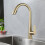 Konyhai Csaptelep Rea Ross Brush Gold 8
