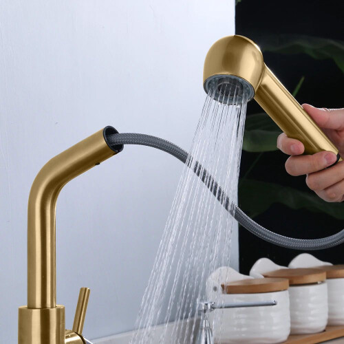 Βρύση Κουζίνας Rea Troy Gold Brushed 1
