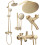 Set Doccia Rea Luis Gold Brush 1