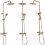 Shower Set With Thermostat Rea Lungo Gold Brush 10