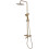 Shower Set With Thermostat Rea Lungo Gold Brush 5