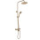 Shower Set With Thermostat Rea Lungo Gold Brush 3