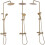 Shower Set With Thermostat Rea Lungo Gold Brush 2
