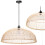 Lampe Suspendue APP988-1CP 1