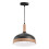Lampe Suspendue APP1421-1CP 4
