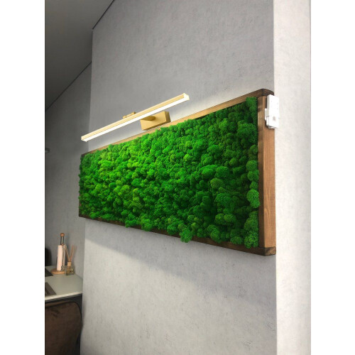 Applique Murale Gold 40cm APP833-1W 2