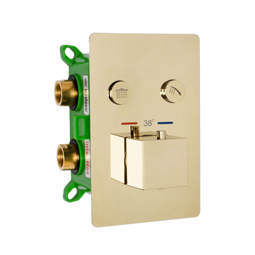Built-in Shower Set Rea Fenix Davis Gold Box 1