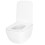 Toilet Bowl Rea Dexter Tornado 5